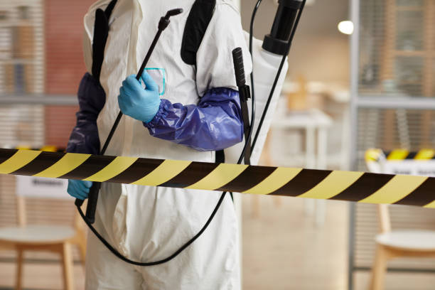 Professional Sewage Cleanup technician working in Milan, NH